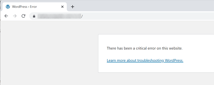 Critical Error in WordPress 5.2+